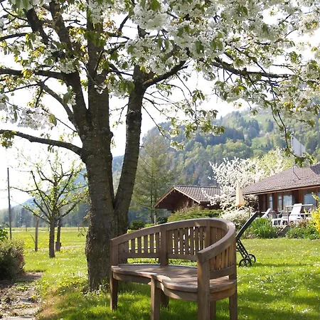 Salzano Basic Interlaken