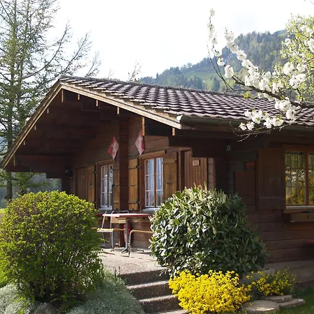 Hotel Salzano Basic Interlaken